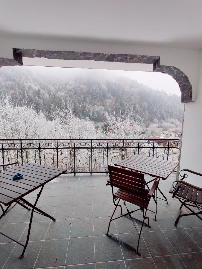 Castle Gate Hotel Bran  Esterno foto